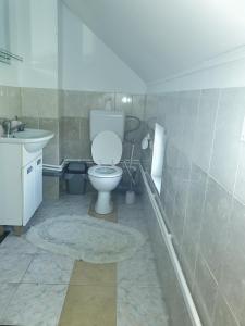 a bathroom with a toilet and a sink at LA GRADINA 