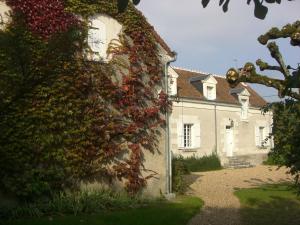 Gallery image of Gîte Saint-Georges-sur-Cher, 6 pièces, 12 personnes - FR-1-491-118 in Saint-Georges-sur-Cher