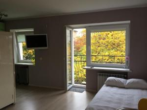 カリーニングラードにあるCentre Apartmentのベッドルーム1室(ベッド1台、窓2つ、テレビ付)