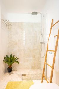 a bathroom with a shower with a ladder at Villa Cocotier à 50 mètres de la plage in Le Diamant