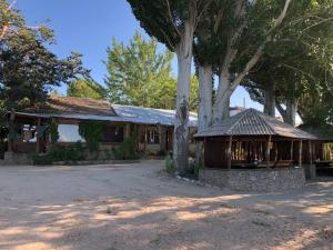 a building with a tree in front of it at Tan Nuru Guest House Гостевой Дом Тан Нуру in Cholpon-Ata