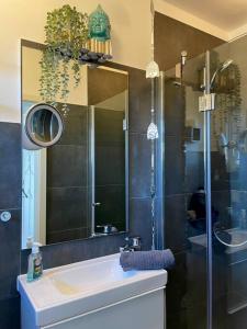 a bathroom with a shower and a sink and a mirror at Wohnung in idyllischer Lage auf Borkum in Borkum