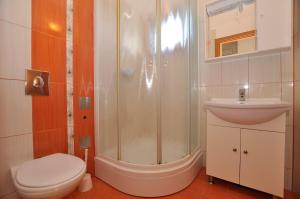 a bathroom with a shower and a toilet and a sink at Vila Ana Mirela in Slatine +124 photos
