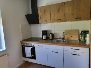 Η κουζίνα ή μικρή κουζίνα στο Exklusievwohnung Weißenfels