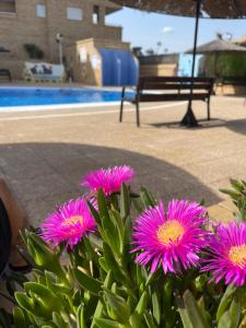 Bazén v ubytovaní APARTAMENTO ZONA MARINADOR, CERCA A LA PLAYA alebo v jeho blízkosti