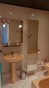 Bilik mandi di Superbe appartement, proche plage des Sablettes +12 gambar