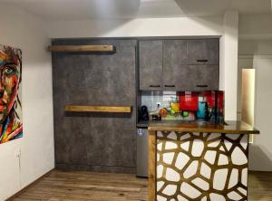 a kitchen with a stainless steel refrigerator and a counter at Puro Urban in Ohrid