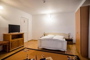 TV a/nebo společenská místnost v ubytování HOTEL MARION