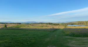 a dirt road in a field next to a lake at Three Lochs Holiday Caravan for Families and Couples in Newton Stewart