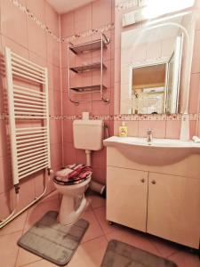 a pink bathroom with a toilet and a sink at Apartament Patrick in Curtea de Argeş