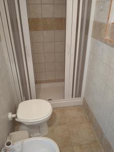 een badkamer met een toilet en een douche bij Da Carla in Iglesias