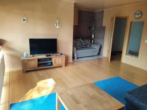 a living room with a flat screen tv and a couch at Ferienwohnung-Vivienne in Hemfurth-Edersee