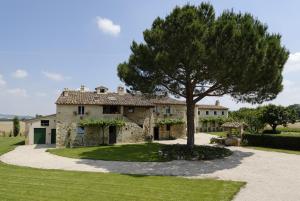 an old stone house with a tree in front of it at Agriturismo Pian Del Tevere in Torgiano