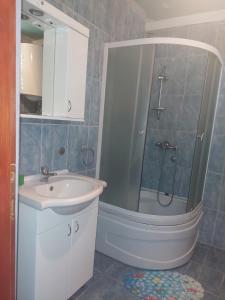 Koupelna v ubytování Vila Ljubomir - Srebrno Jezero