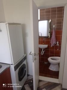 a bathroom with a toilet and a sink and a washing machine at vikendaja in Rakovac