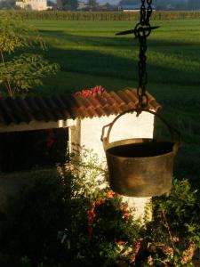 Zahrada ubytování Bed and breakfast Al Rudun