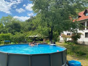 a man swimming in a pool in a yard at Casa Bucataria Fonix in Praid