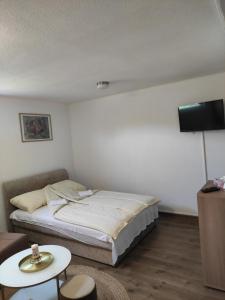 a bedroom with a bed and a tv and a table at Dream Home Studio Apartments in Tuzla