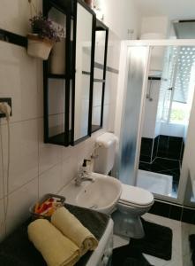 a bathroom with a sink and a toilet and a mirror at Apartment Nicol in Pula