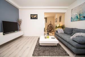 TV a/nebo společenská místnost v ubytování Oasis apartment