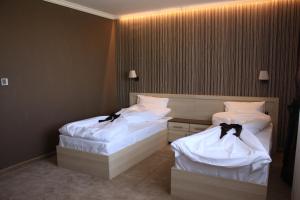 Gallery image of Hotel Nove in Svishtov