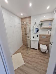 Zbrosławice的住宿－Apartamenty Josef，带淋浴、卫生间和盥洗盆的浴室