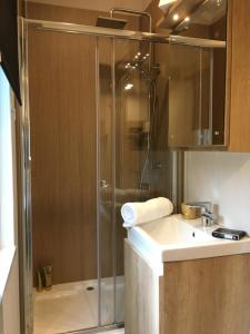 een badkamer met een douche en een wastafel bij P57 - Riverside Family Pod with Hot Tub in Bethesda