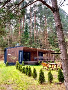 uma cabana na floresta com uma mesa de piquenique e um banco em Sarzynówka pod Sosną em Krasnobród