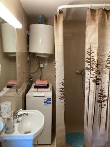 Ένα μπάνιο στο Podgorica-Downtown