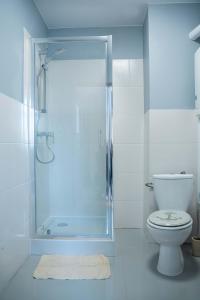 un bagno con doccia e WC di Apartamenty Na Winklu Green a Unieście