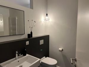 une salle de bain avec un lavabo, des toilettes et un miroir dans l'établissement Apartmenthaus Stade Schwingewiesen Apartment 1, à Stade
