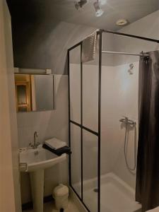 y baño con ducha, aseo y lavamanos. en Hôtel Restaurant L Orée du Vercors, en Montmaur-en-Diois