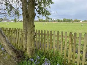 a fence with a tree and a field with cows at The Mash Tun - monstrous swank in a sleepy village in Whaplode
