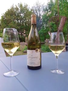 butelkę białego wina i dwa kieliszki na stole w obiekcie Maison de 3 chambres avec jardin clos et wifi a Mouzillon w mieście Mouzillon