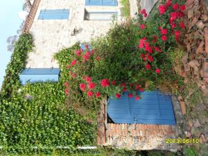 Vonkajšia záhrada v ubytovaní Maison de charme à Mouzillon - Jardin et terrasse accueillante