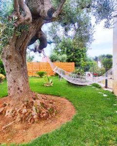 Gallery image of La casa di Nonno in Fasano