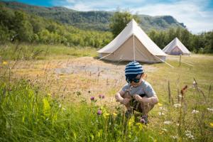 Příroda nedaleko luxury tent + 5 fotografií