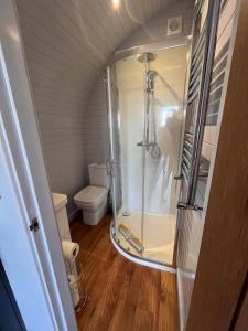 a bathroom with a shower and a toilet at Honeypot Hideaways Luxury Glamping - Exclusively for Adults in Chester