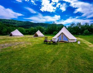 Příroda nedaleko luxury tent