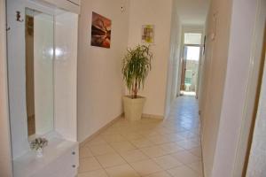 korytarz z doniczką na ścianie w obiekcie Two bedroom apartments Elvira w Novalji