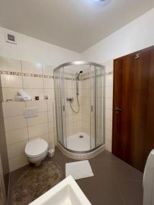 een badkamer met een douche, een toilet en een wastafel bij Apartment Bonita Tále in Bystrá