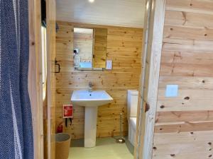 a bathroom with a sink and a wooden wall at Hideaway at Hestercombe in Kingston