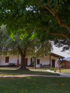a person walking a dog on a sidewalk under a tree at Pantalica Ranch Agriturismo Siciliano in Sortino
