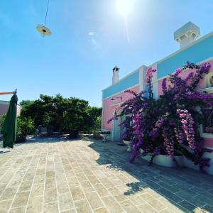 Aed väljaspool majutusasutust Masseria Trullo Sovrano Exclusive B&B