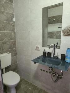 a bathroom with a toilet and a sink and a mirror at Guest house Ashdod-beach in Ashdod