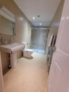 a bathroom with a sink and a toilet and a shower at Llys Bach Apartment at Llys Aeron in Aberaeron