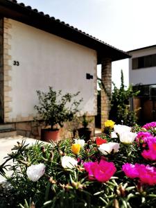 stos kwiatów przed domem w obiekcie Rooms Silvana w mieście Umag