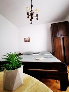 Zdjęcie z galerii obiektu Rooms Silvana w mieście Umag