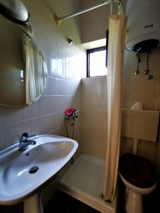 łazienka z umywalką, toaletą i lustrem w obiekcie Rooms Silvana w mieście Umag