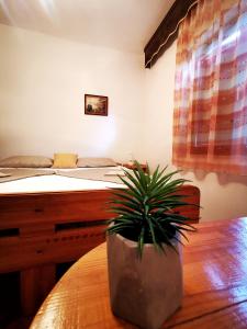 Łóżko lub łóżka w pokoju w obiekcie Rooms Silvana